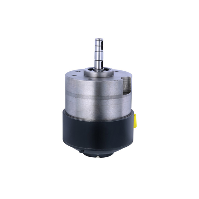 Small King Kong 24V motor (permanent magnet brushless)