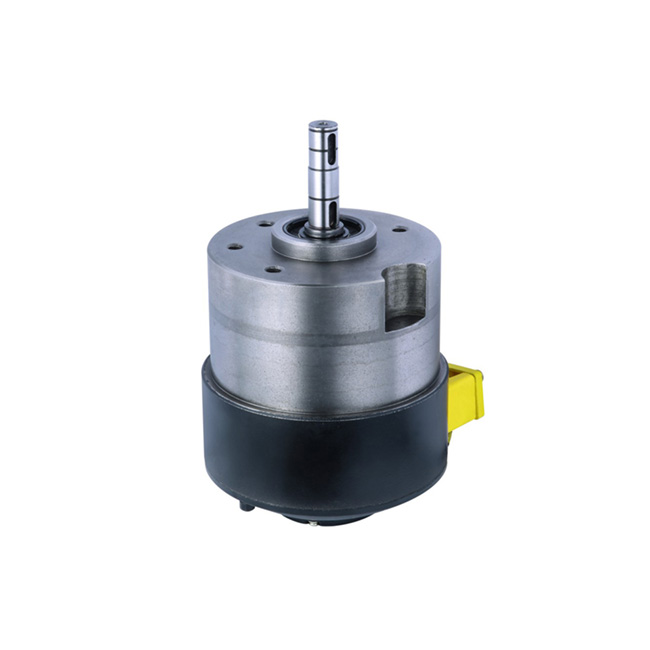 Small King Kong 48V motor (permanent magnet brushless)